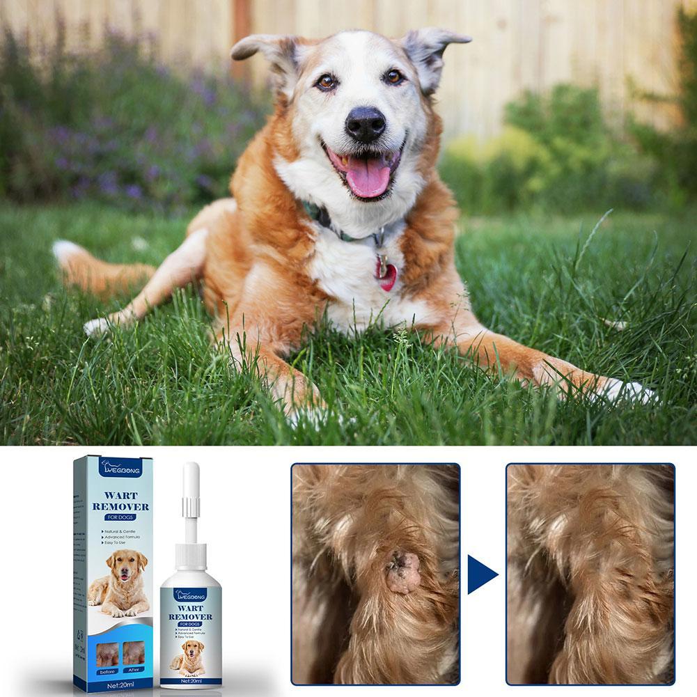Penghilang kutil anjing peliha - Skincare Animate ulasan dan harga