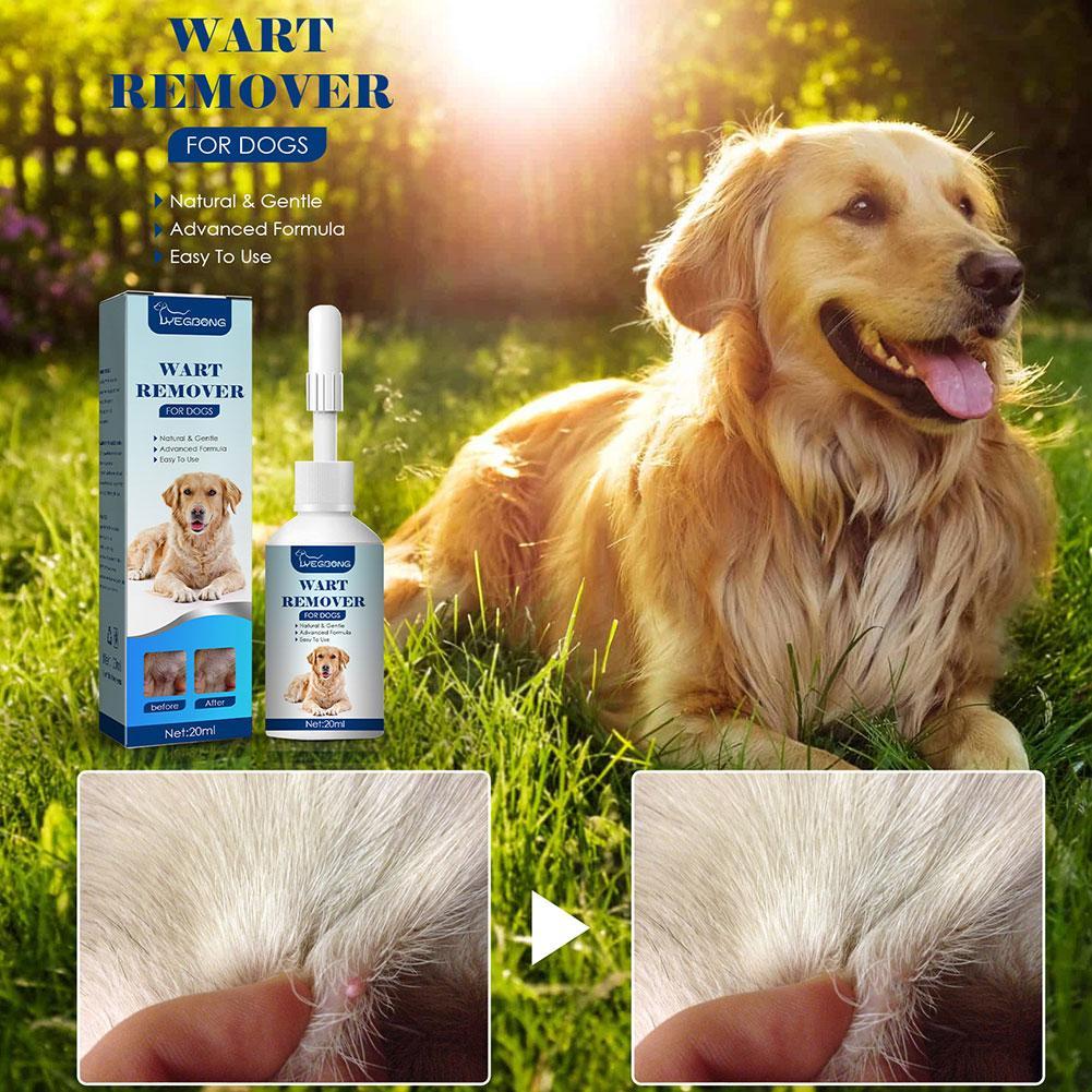 Penghilang kutil anjing peliha - Skincare Animate ulasan dan harga